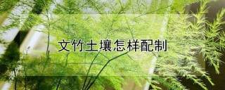 文竹土壤怎样配制,第1图