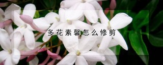 多花素馨怎么修剪,第1图