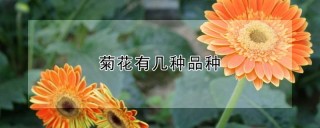 菊花有几种品种,第1图