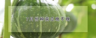 7月份种南瓜晚不晚,第1图