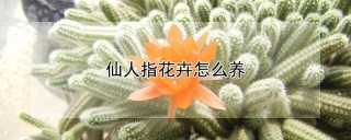 仙人指花卉怎么养,第1图