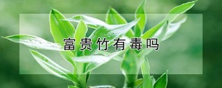 富贵竹有毒吗,第1图