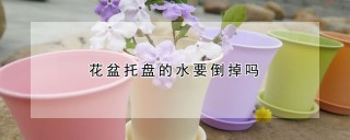 花盆托盘的水要倒掉吗,第1图