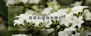 茜草科植物有哪些,第1图