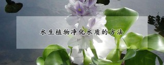 水生植物净化水质的方法,第1图