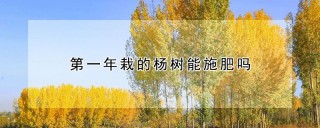 第一年栽的杨树能施肥吗,第1图