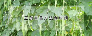 豆角育苗方法和时间,第1图