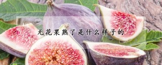 无花果熟了是什么样子的,第1图