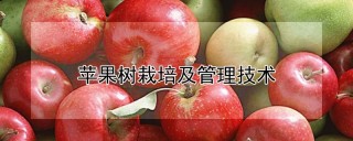 苹果树栽培及管理技术,第1图