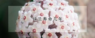 球兰寿命几年,第1图