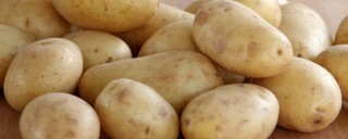 土豆怎样掐苗剪枝,第1图
