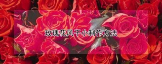 玫瑰花风干小制作方法,第1图