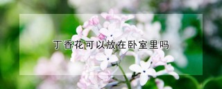 丁香花可以放在卧室里吗,第1图