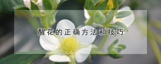 醒花的正确方法和技巧,第1图