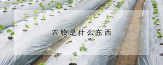 农膜是什么东西,第1图