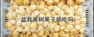 盆栽果树果子能吃吗,第1图