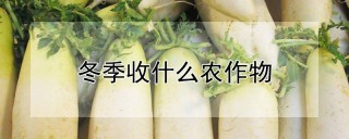 冬季收什么农作物,第1图