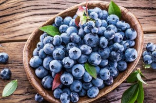 蓝莓籽能种植吗,第2图
