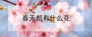 春天都有什么花,第1图