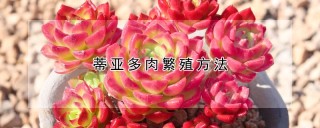 蒂亚多肉繁殖方法,第1图