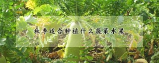 秋季适合种植什么蔬菜水果,第1图