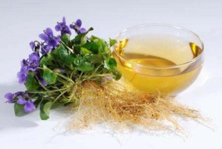 紫罗兰可以泡茶喝吗，紫罗兰的功效与作用,第2图