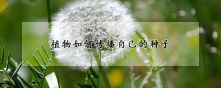 植物如何传播自己的种子,第1图