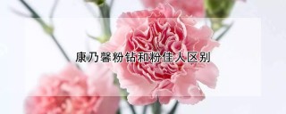 康乃馨粉钻和粉佳人区别,第1图