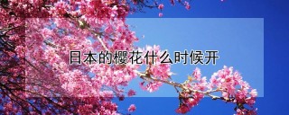 日本的樱花什么时候开,第1图