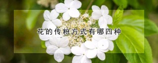 花的传粉方式有哪四种,第1图