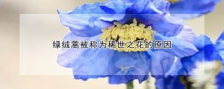 绿绒蒿被称为稀世之花的原因,第1图