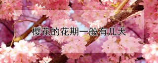 樱花的花期一般有几天,第1图