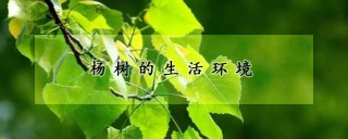 杨树的生活环境,第1图