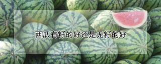 西瓜有籽的好还是无籽的好,第1图