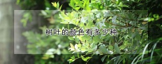 树叶的颜色有多少种,第1图