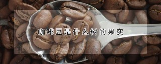 咖啡豆是什么树的果实,第1图