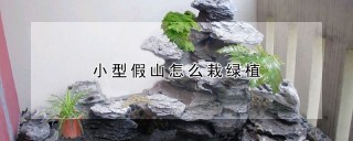 小型假山怎么栽绿植,第1图