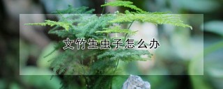 文竹生虫子怎么办,第1图