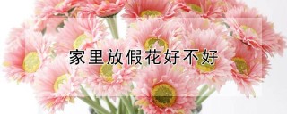 家里放假花好不好,第1图