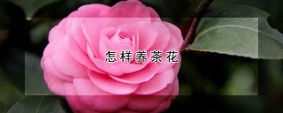 怎样养茶花,第1图