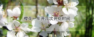 樱花一年开几次开花时间,第1图