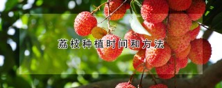 荔枝种植时间和方法,第1图