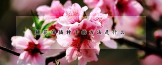 桃花传播种子的方法是什么,第1图