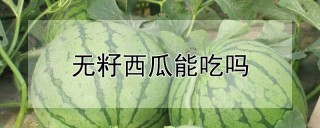 无籽西瓜能吃吗,第1图