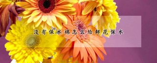 没有保水棉怎么给鲜花保水,第1图