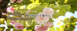 樱花的叶子像什么,第1图