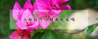 立秋后可以移栽花木吗,第1图