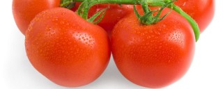 西红柿开花期如何施肥,第1图