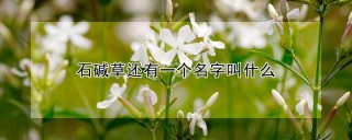 石碱草还有一个名字叫什么,第1图