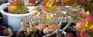 姬红花月的养殖方法和注意事项,第1图